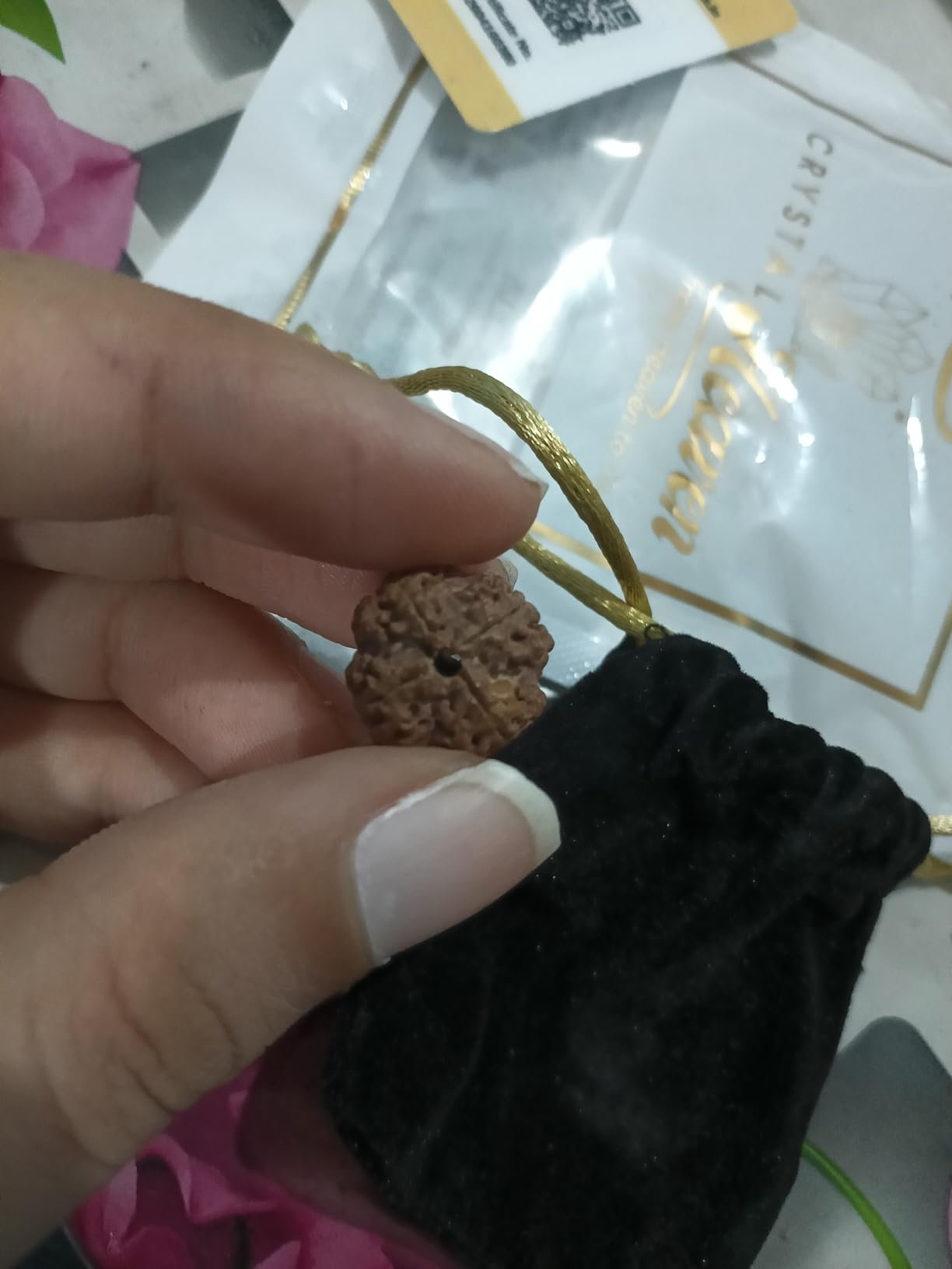Rudraksha