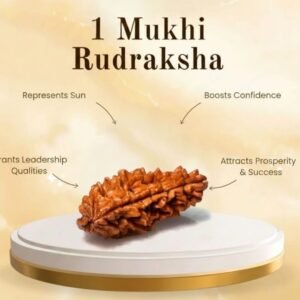 Natural 1 Mukhi Rudraksha (Nepal Origin)