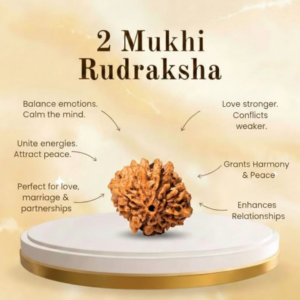 Natural 2 Mukhi Rudraksha (Nepal Origin)
