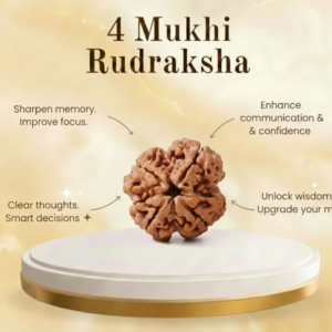 4 Mukhi Rudraksha – Original Nepali Bead